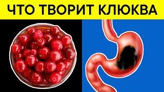 Применяла КЛЮКВУ по совету соседки и избавилась от 15 НЕДУГОВ. Не ожидала такого!