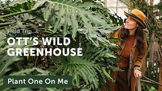 OTT'S GREENHOUSE Tour Will Make You Green With Envy! — Ep. 272