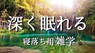 【大人向けの雑学】深い睡眠へ誘う睡眠導入雑学【不眠症対策】