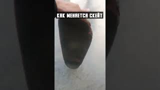 Как меняется скейтборд #скейт #скейтборд #скейтбординг #shorts #тикток