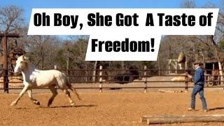 Ex Bucking Horse gets a Real Test, Will she Revert back to her Old ways??