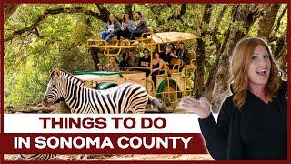 What to do for fun? [BEST SUMMER ACTIVITES IN SONOMA COUNTY] Living in Sonoma County, CA