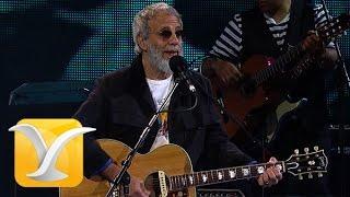 Yusuf Cat Stevens, Oh Very Young, Festival de Viña 2015 HD 1080p