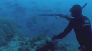 professional freediver WR stephane mifsud demo&spearfishing