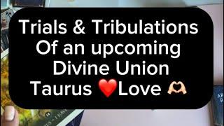 Taurus ️🫶 Divine Union with obstacles…Tarot love story