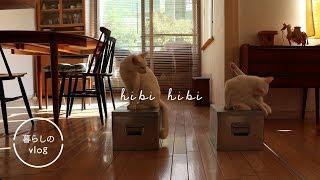 【Life vlog】Housework and storage/mountain climbing preparations/cupboard arrangement