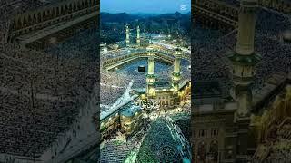 17 January 2025