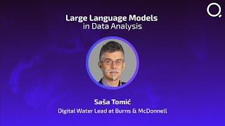 Large Language Models in Data Analysis – Saša Tomić