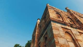 A morning in LODI gardens