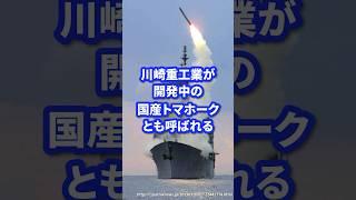 川崎重工が開発中の国産トマホーク【島嶼防衛用新対艦誘導弾】 #ミリタリー図鑑 #ミリタリー #自衛隊 #自衛隊装備