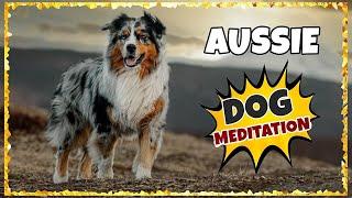 Dog Music for Australian Shepherds ~ Music for Aussie ~ [TESTED]