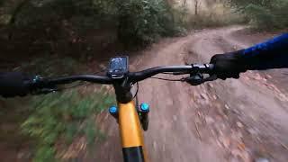 Trail Font Groga Left - Collserola