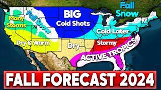 Preliminary Fall Forecast 2024