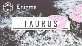 TAURUS - WOW 3 ACES‼️ NEW BEGINNING IN LOVE WITH A WEALTHY & PASSIONATE SOULMATE NEXT MAR 1-7