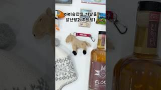 아이슬란드 기념품, 꼭 사야 할 꿀템 vs 후회템!
