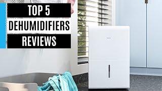 The 5 Best Dehumidifiers of 2025