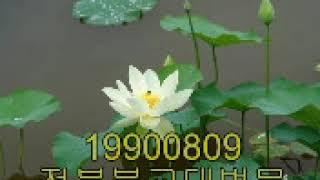 청화큰스님 설법