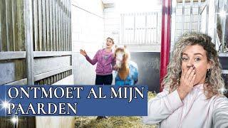 PAARDEN VOORSTELLEN + 2 nieuwe PONY'S  | PaardenpraatTV