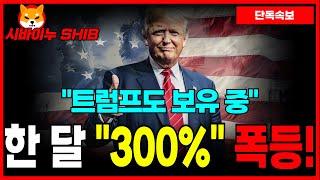 [시바이누 코인] 몇 주 안에 "300%" 상승 나온다! 트럼프도 들고 있는 '밈코인' TOP!