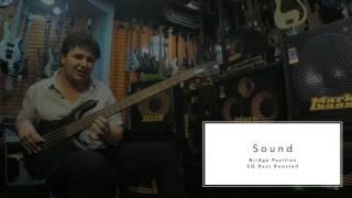 Spector Forte 4 Bass Played by Jono Burgess at Musos Corner