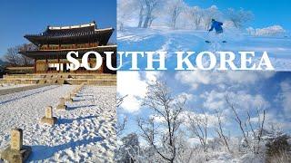 South Korea Travel Vlog | South Korea Beautiful Places | South Korea Vlog | South Korea Video | Tour