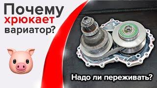 Хрюкает Вариатор. Странные звуки на Nissan X-trail. Ремонт вариатора в Москве и Санкт-Петербурге.