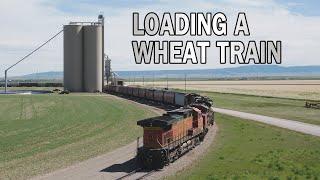 Loading a Shuttle Train at a Montana Grain Elevator - Aerial Reel