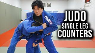 Use Judo to Counter a Single Leg Takedown - BJJ