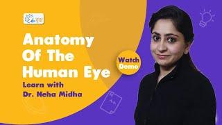 Anatomy of the human eyeball| Explained in Hindi| Operation Theatre Technician| Dr. Neha Midha|