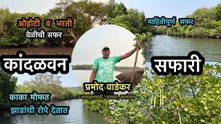 Mangrove Safari With Wadekar Kaka Achara Malvan | वाडेकर काकांसोबत कांदळवन सफारी आचरा मालवण Vlog