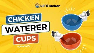 LIL'CLUCKER Large Automatic Chicken Waterer Cups(Suitable for Chicks, Duck, Goose,Turkeys and Bunny)