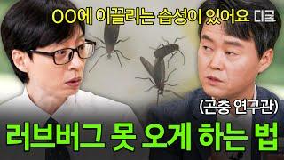 [#유퀴즈온더블럭] 길에서 자꾸 마주치는 러브버그 곤충 연구관 자기님이 알려주는 러브버그 습성 제대로 파악하고 피하는 방법🪳