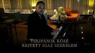 CSÍK LACI - Tulipánok közé rejtett igaz szerelem