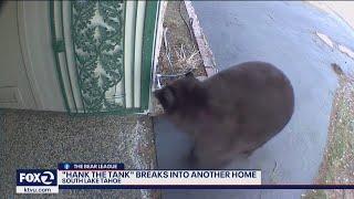 'Hank the Tank,' Tahoe bear, breaks into another home