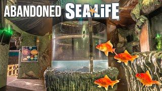 We explored the abandoned SEA WORLD aquarium in Scotland | Closed since 2018