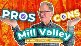 Living in Mill Valley, California | Top 8 Pros and Cons to Know Before You Move | Homes of Marin