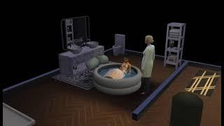 Realistic birth(Winter Price gives birth...Throwback)