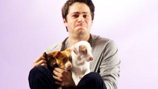 Dylan O'Brien From The Maze Runner Plays With Puppies