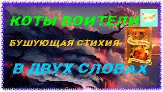 Коты воители Бушующая стихия в двух словах.