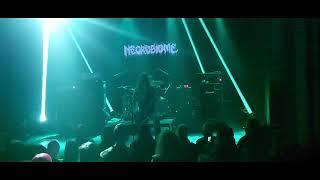 Necrobiome - Live in Iceland in Desember 2024