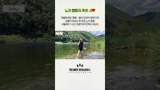 캠핑 브이로그 part8 I 강원도 노지캠핑 I 여름캠핑 I 토레스EVX 차박캠핑 I 계곡캠핑 I 다슬기 I 물놀이캠핑
