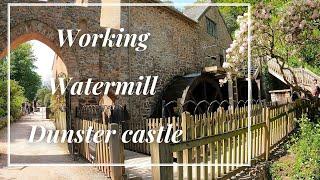 Working traditional watermill a closer look | Dunster Watermill