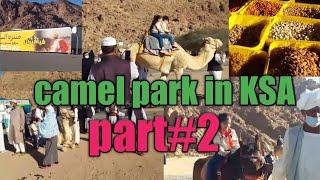 MADINA Life Camel Park , Frist Time In Saudi Arabia , Beautiful Children Park Enjoy The Moment , P#2