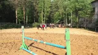 Angelina Danilova Oh happy daay #horseriding