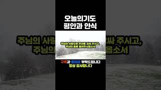 오늘의기도240213 #오늘의기도 #매일기도 #따라하는기도 #듣는기도