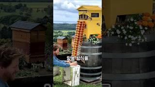 벌과 사람 모두 편안한 꿀 채취 방법