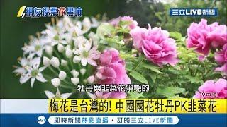 想用"梅花"被台灣搶先 中國網友想選"韭菜花"當國花諷刺股市被"收割"│記者 張心衡｜【國際大現場】20190719｜三立新聞台