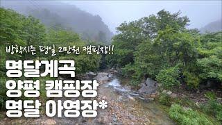 방학시즌 평일 2만원 양평 신생 캠핑장!! 양평 명달계곡, 명달야영장