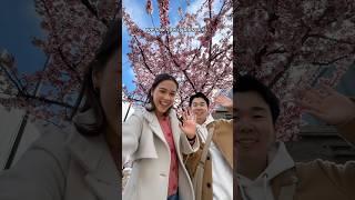 Japanese Cherry Blossom Hack