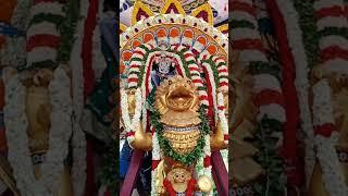 Ther thiruvizha  west Mambalam thiruvizha - ther thiruvizha song  Arulmigu Kasi vishwanthar